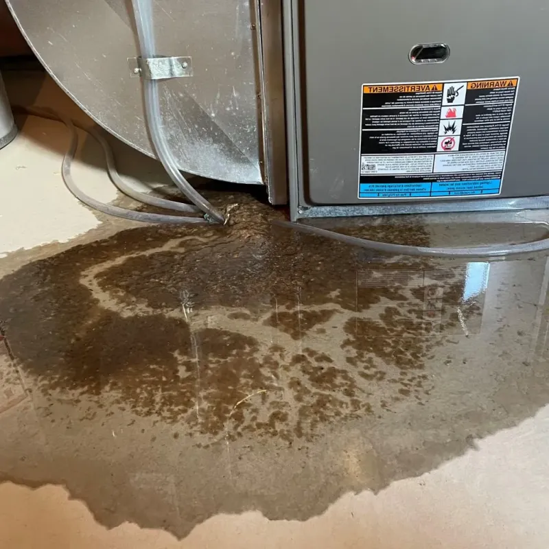 Pipe Burst and Leak Restoration in Killeen, TX